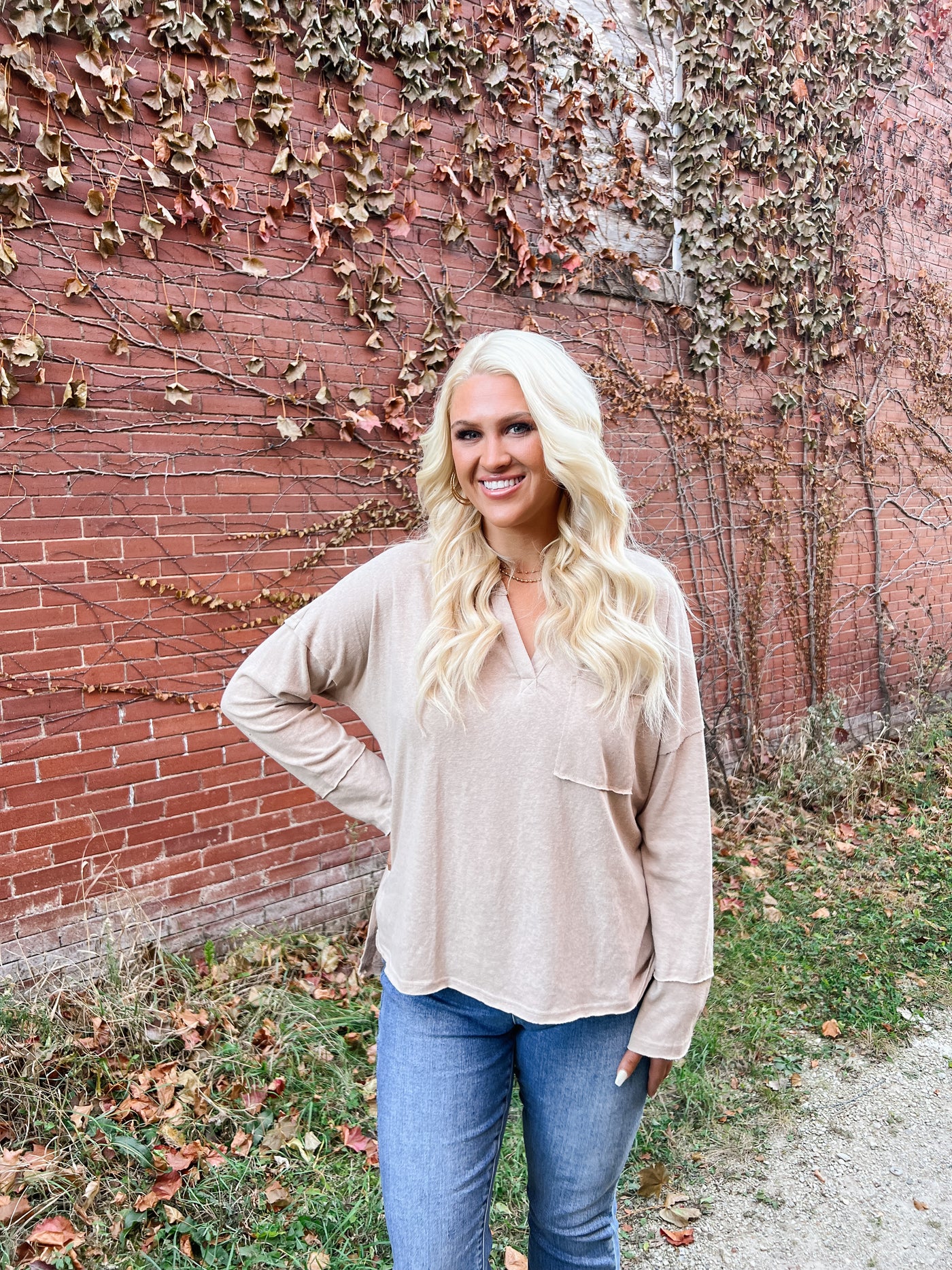 V Neck Long Sleeve Top